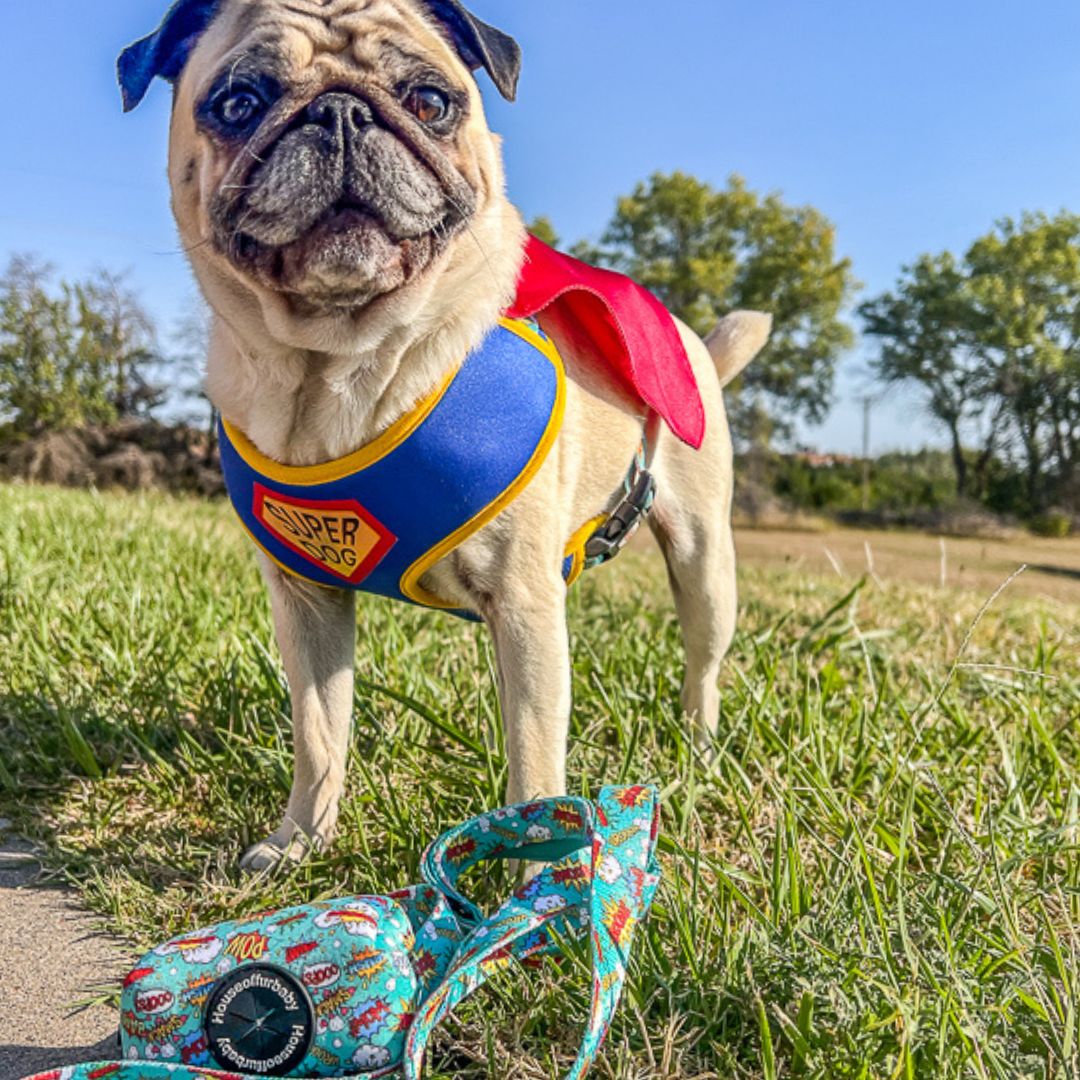 SuperDog Harness | Super Blue & Super Pink